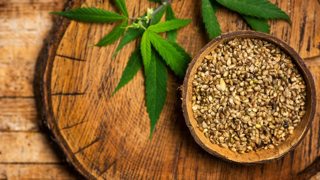 Right cannabis strain