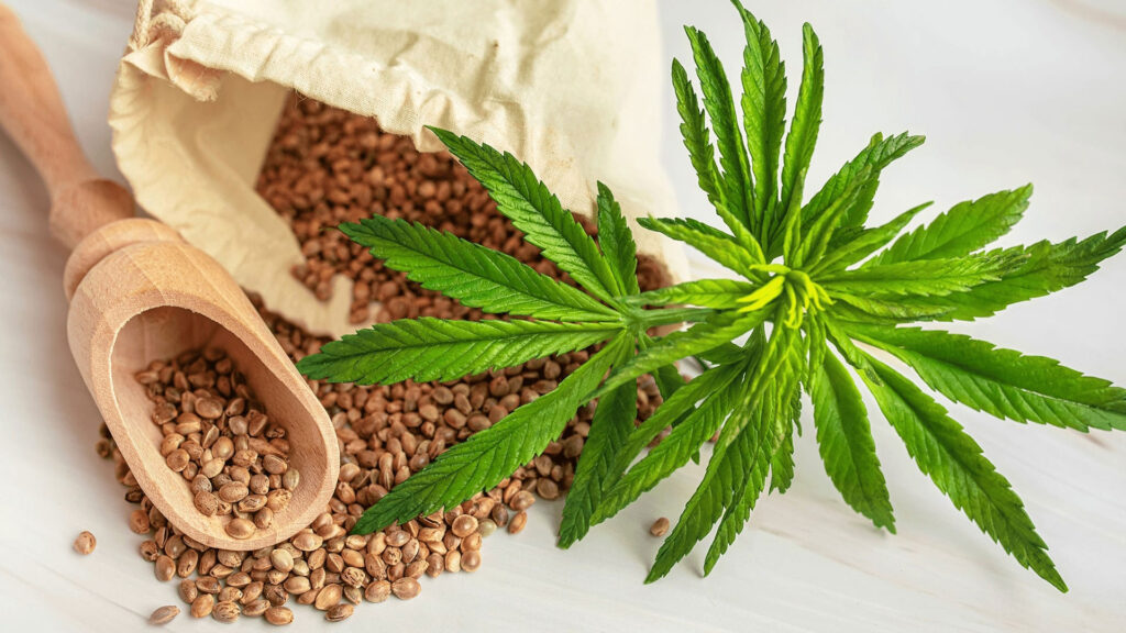 Cannabis seeds myths